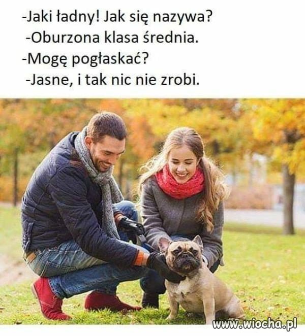 Heheszki polityczne