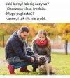 Heheszki polityczne