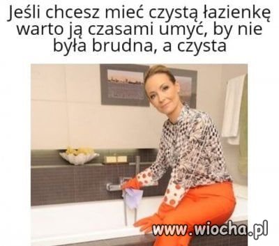 Perfekcyjna pani domu-przemyślenia