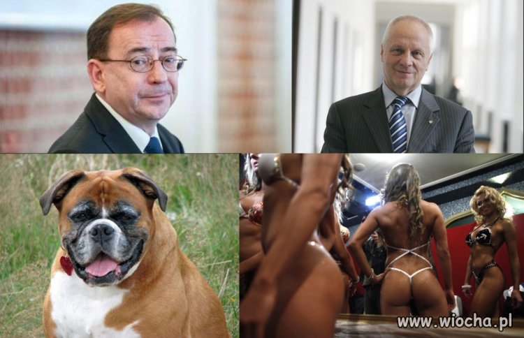 Murem za Stefanem!