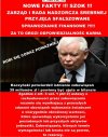 Zamiast kryształa