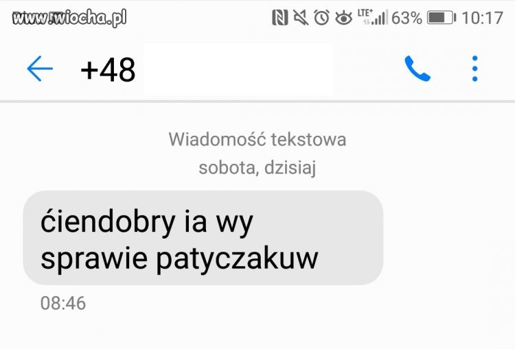 Patyczaki trudne słowo 