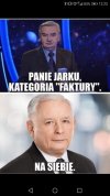 Kategoria pewniak