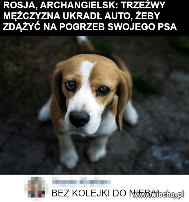 Prawdziwa miłość