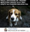 Prawdziwa miłość