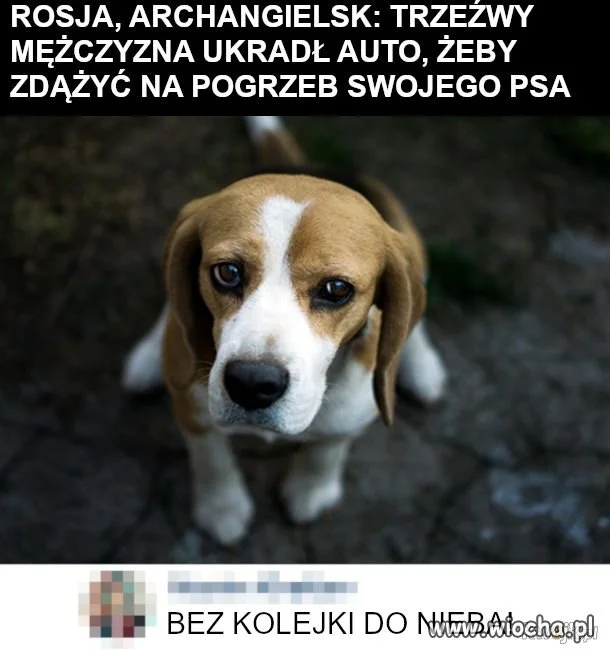 Prawdziwa miłość