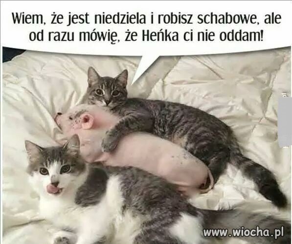 Heheszki