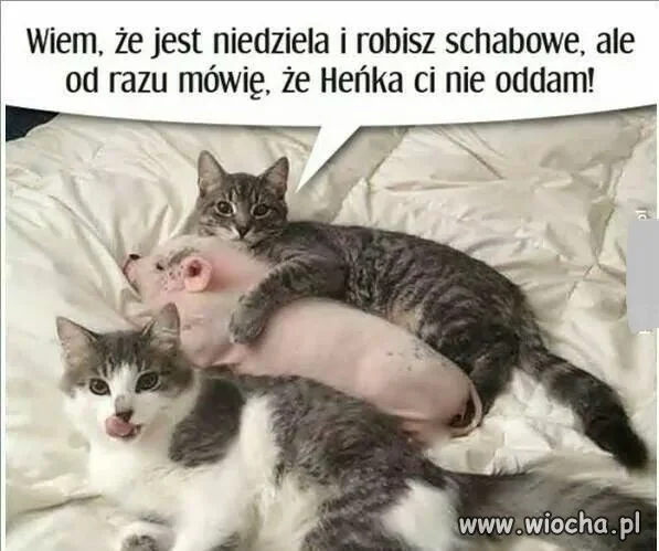 Heheszki