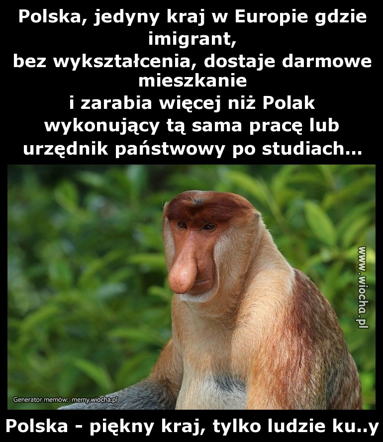 Polska, jedyny kraj w Europie gdzie imigrant,