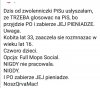 Przemyślenia madki wolskiej