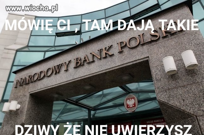 NBP ustanowił dla słowa burdel...