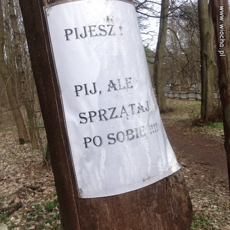 Spacer niedzielny po parku