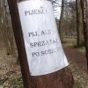 Spacer niedzielny po parku