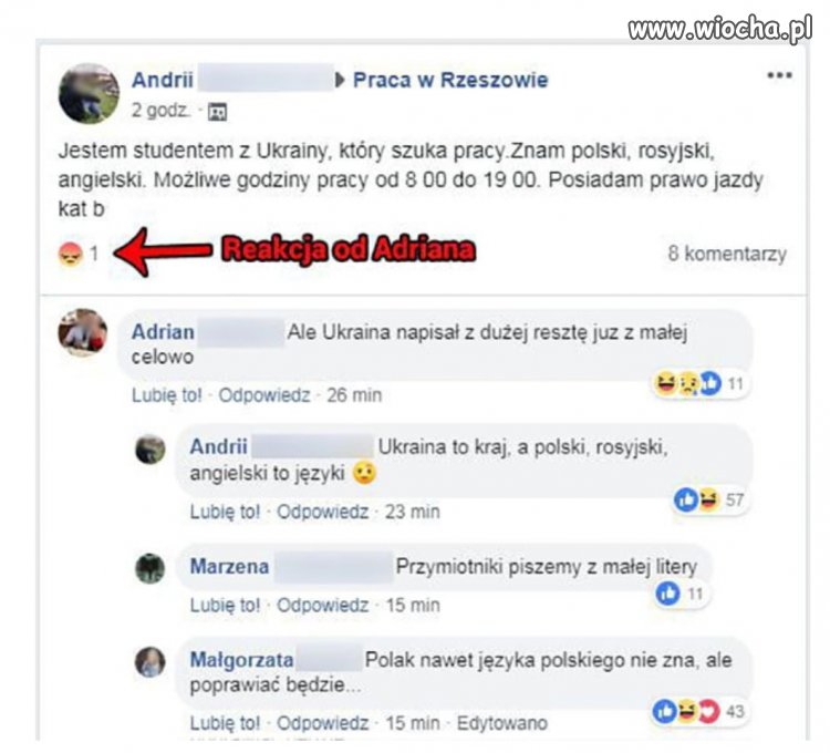Patriota 