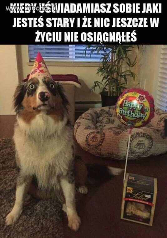 Komentarz zbędny