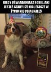 Komentarz zbędny