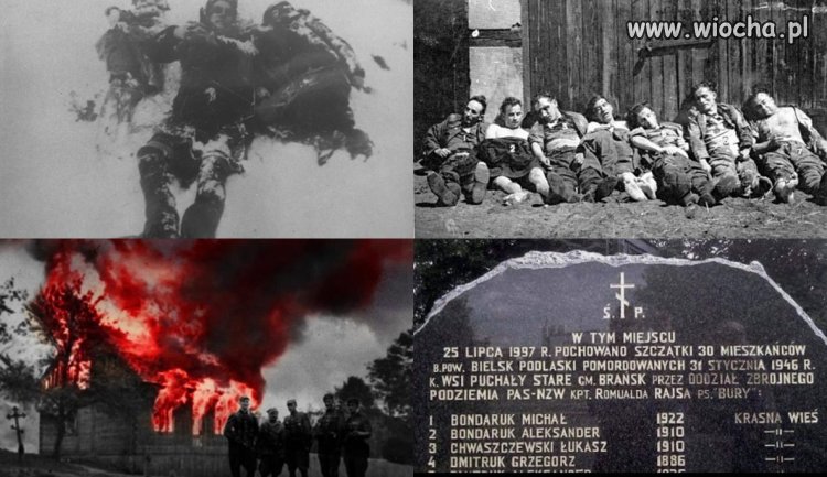 Dzisiaj oddajemy hołd