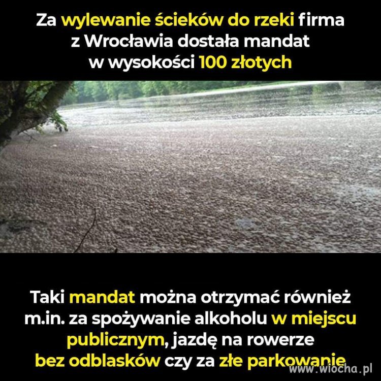 To brzmi jak kiepski żart...