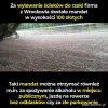 To brzmi jak kiepski żart...