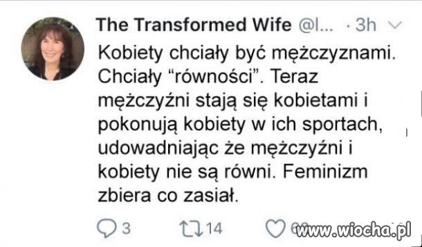 Wszystko się