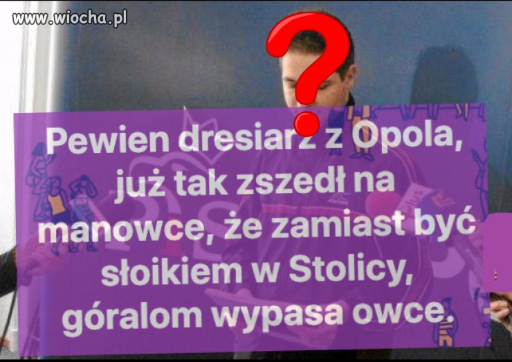 Jak będą wybory w Niemczech
