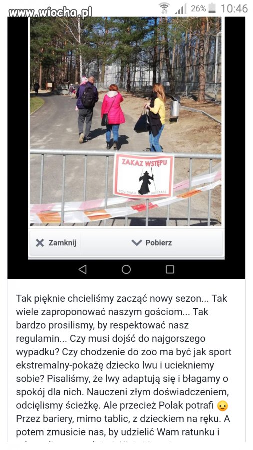 Pomimo próśb i zakazów muszą włazić