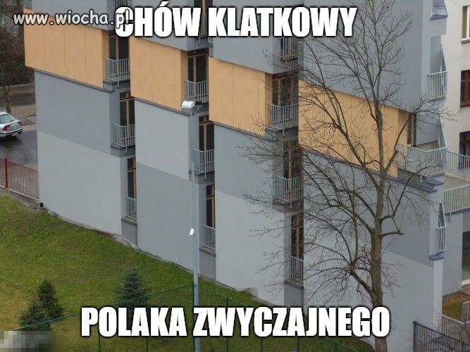 Heheszki