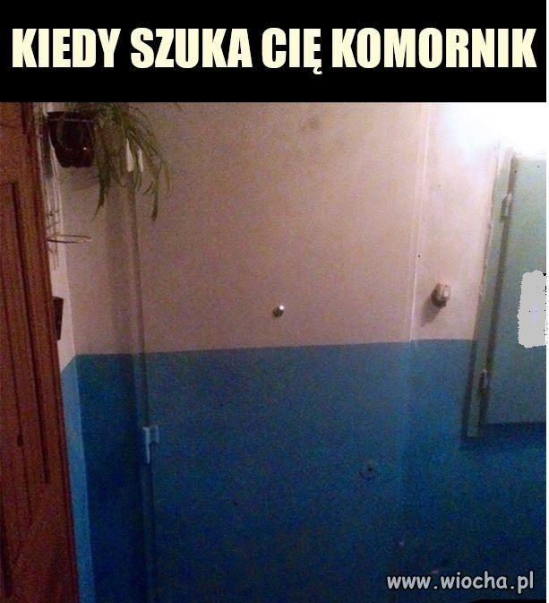 Mistrz