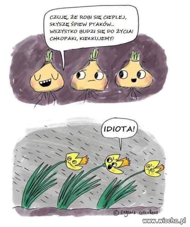 W wiosennym nastroju