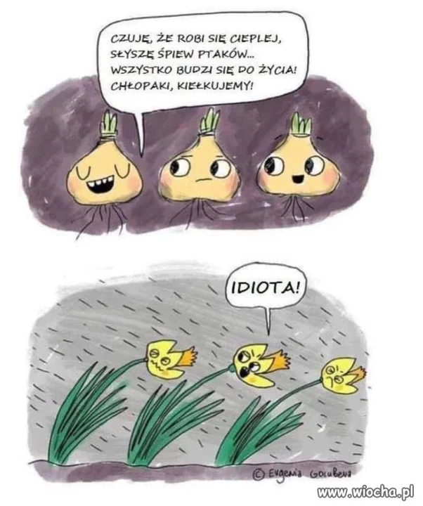 W wiosennym nastroju