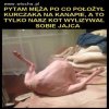 Mistrz