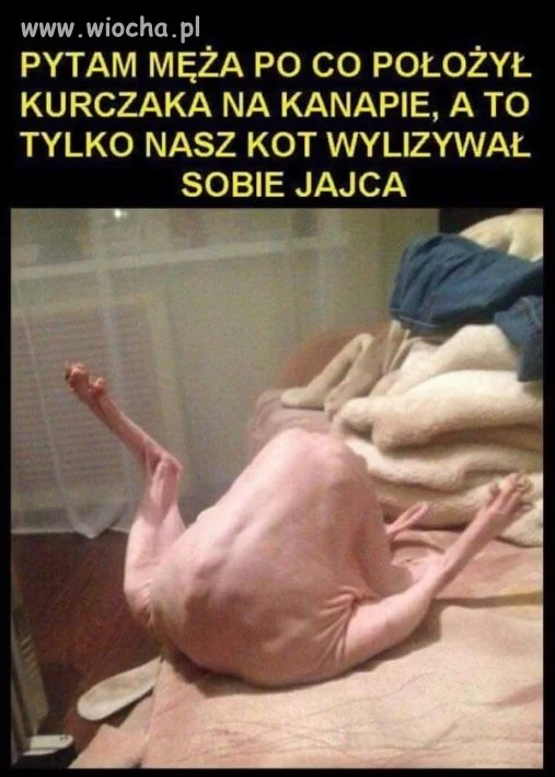Mistrz