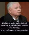 Słowo do "ojca" polskich dzieci.