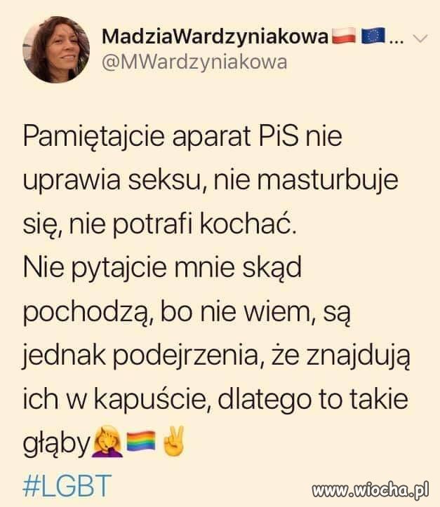 Ku pamięci