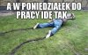 Po niedzieli...