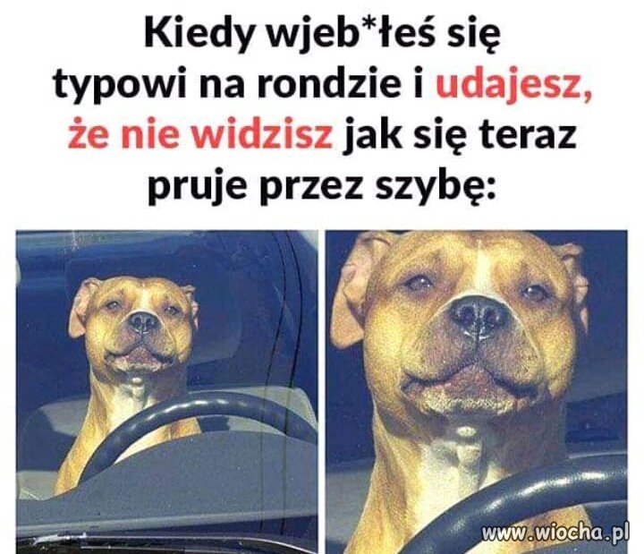 Trochę humoru