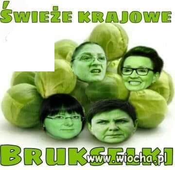 Nowalijki...