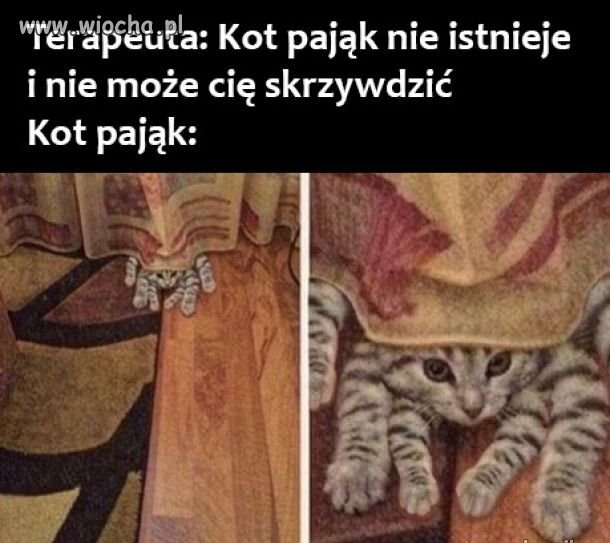Kot   
