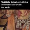 Kot   
