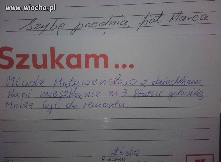 Szukam