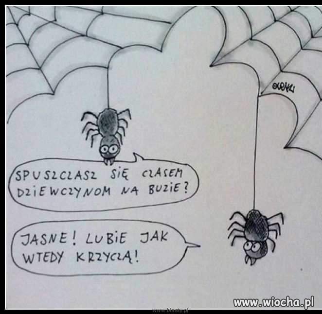 Pająk też człowiek.