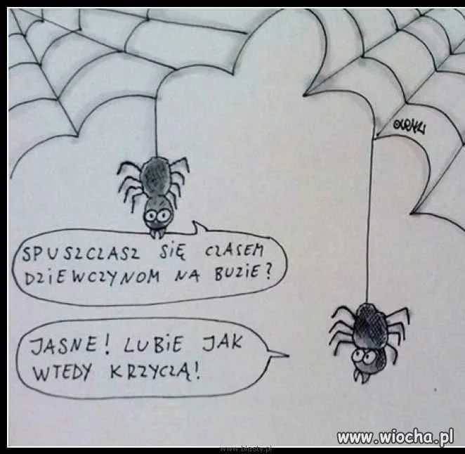 Pająk też człowiek.