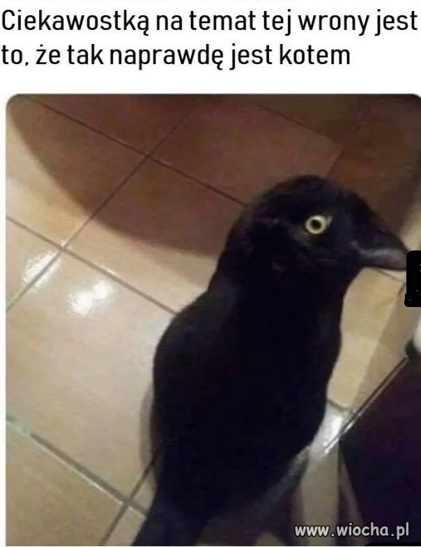 Dziwny
