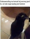 Dziwny