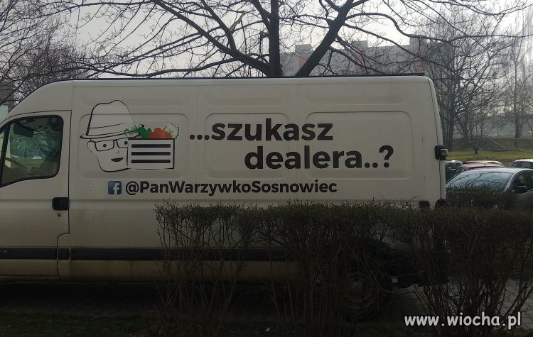 Szukasz dealera?