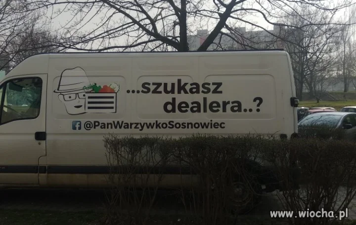Szukasz dealera?