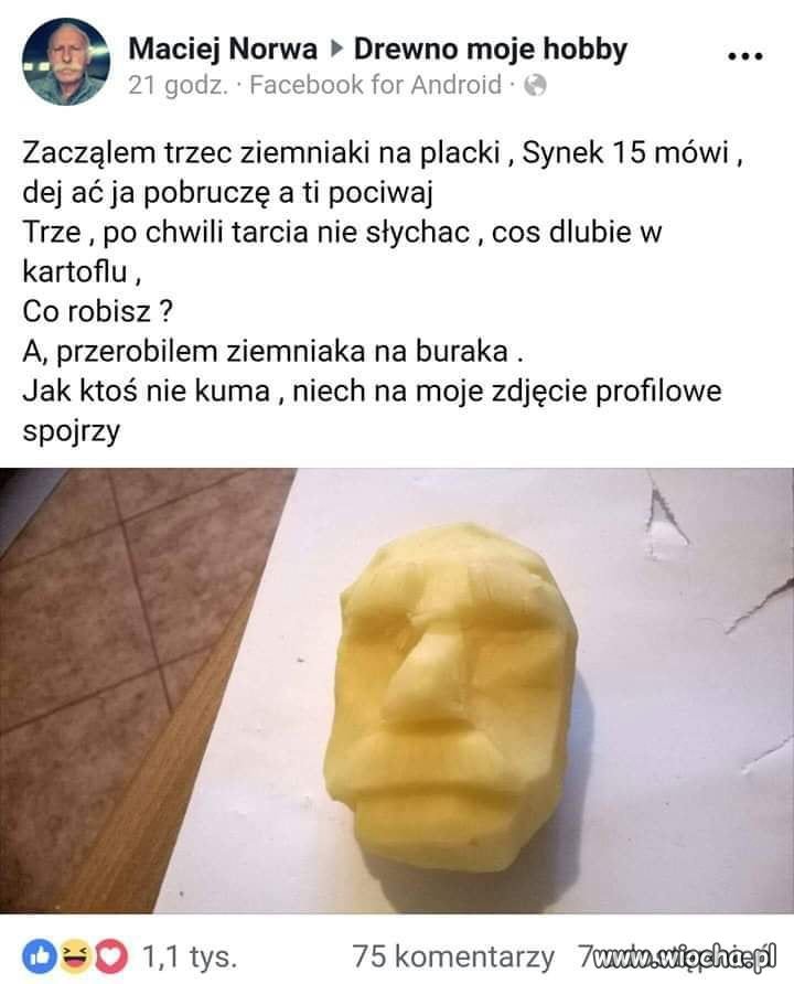 Synek 15