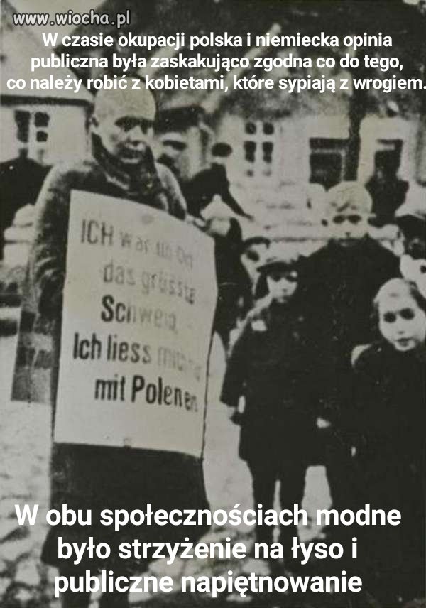 Takie tam porozumienie ponad podziałami...