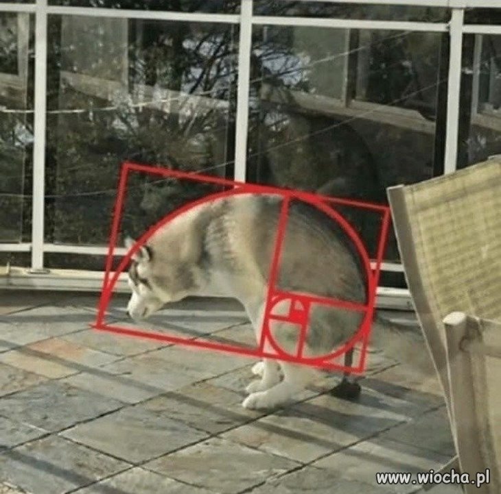 Po prostu geometria