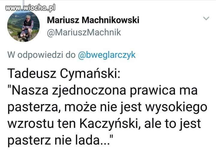 A te stado baranów